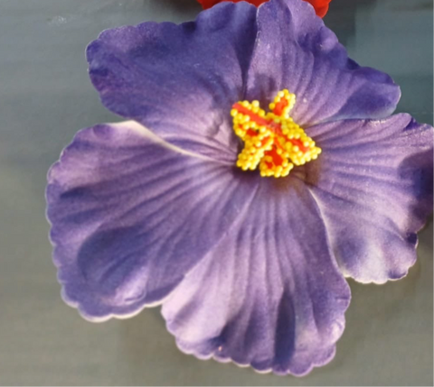 Purplue  Boricua Flower