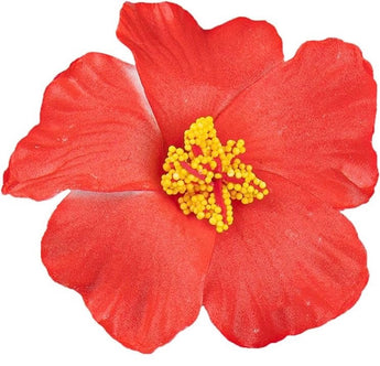 Amapola Flor de Borinquen (2 da PRE-ORDER) Llega esta semana