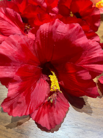 Red Hibiscus P R