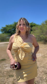 Amarillo Pastel Twist Dress